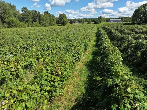 Bennett State Road, Hanover, NY 14062 photo 9