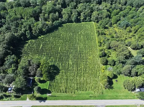 Bennett State Road, Hanover, NY 14062 photo 3