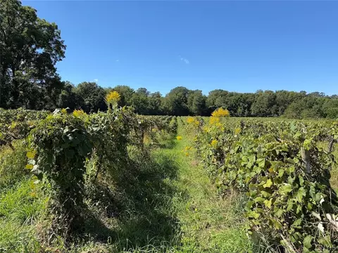 Bennett State Road, Hanover, NY 14062 photo 15