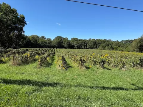 Bennett State Road, Hanover, NY 14062 photo 14