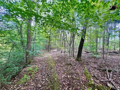 East Road, Angelica, NY 14709