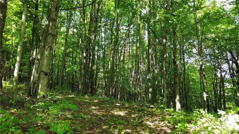 lot21 Buddle Rd, Springfield, NY 13439 photo 3