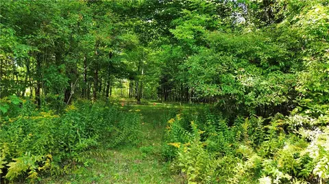 lot21 Buddle Rd, Springfield, NY 13439 photo 4