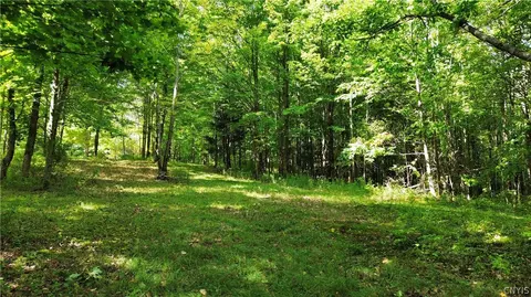 lot21 Buddle Rd, Springfield, NY 13439 photo 7