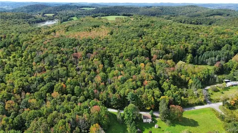 lot21 Buddle Rd, Springfield, NY 13439 photo 15