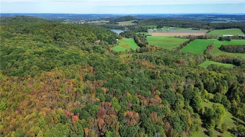 lot21 Buddle Rd, Springfield, NY 13439 photo 18