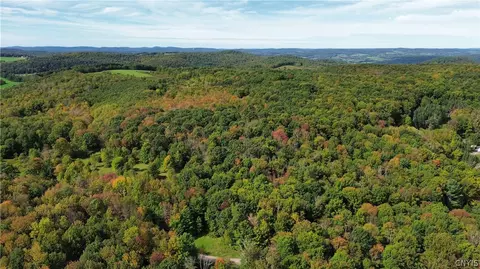 lot21 Buddle Rd, Springfield, NY 13439 photo 11