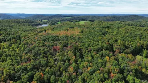 lot21 Buddle Rd, Springfield, NY 13439 photo 14
