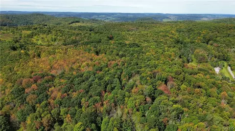 lot21 Buddle Rd, Springfield, NY 13439 photo 17