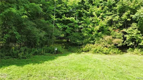 lot21 Buddle Rd, Springfield, NY 13439 photo 5
