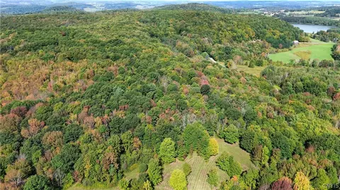 lot21 Buddle Rd, Springfield, NY 13439 photo 21