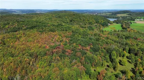 lot21 Buddle Rd, Springfield, NY 13439 photo 20