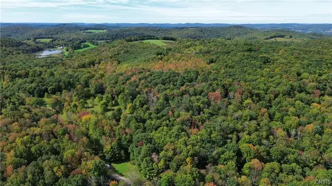 lot21 Buddle Rd, Springfield, NY 13439 photo 12