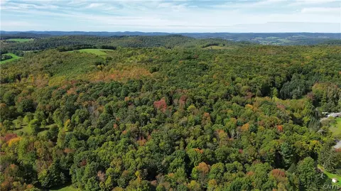 lot21 Buddle Rd, Springfield, NY 13439 photo 13