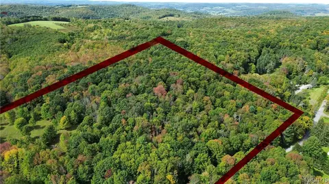 lot21 Buddle Rd, Springfield, NY 13439 photo 2