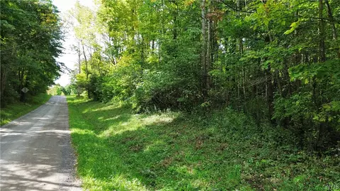 lot21 Buddle Rd, Springfield, NY 13439 photo 9