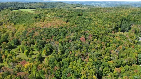 lot21 Buddle Rd, Springfield, NY 13439 photo 16