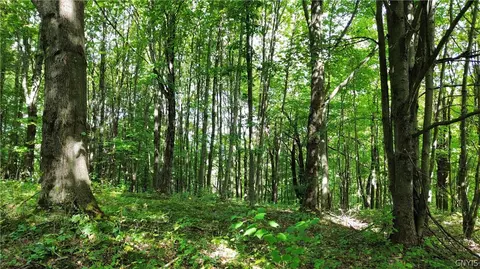lot21 Buddle Rd, Springfield, NY 13439 photo 8