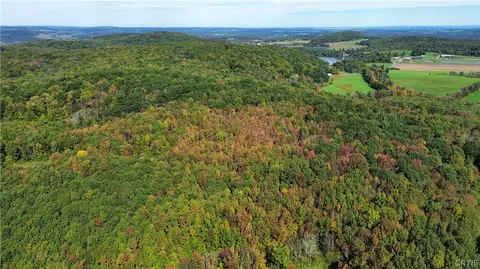 lot21 Buddle Rd, Springfield, NY 13439 photo 19