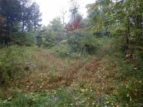 Flanders Hill, Windsor, NY 13865 photo 35
