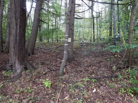 Flanders Hill, Windsor, NY 13865 photo 30