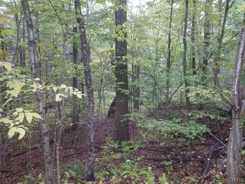 Flanders Hill, Windsor, NY 13865 photo 40