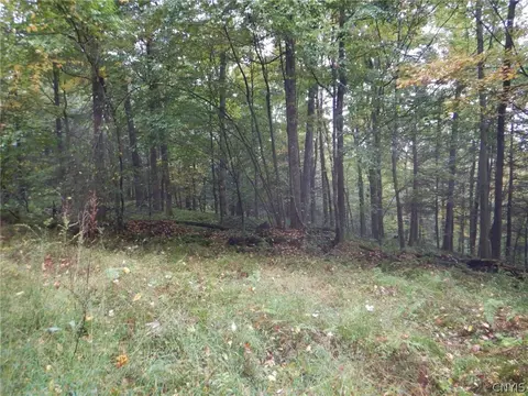 Flanders Hill, Windsor, NY 13865 photo 17