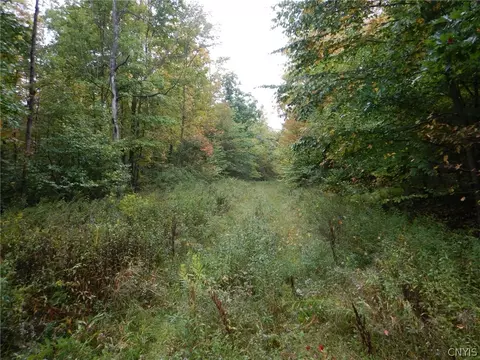 Flanders Hill, Windsor, NY 13865 photo 15