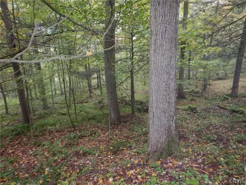 Flanders Hill, Windsor, NY 13865 photo 27