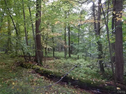 Flanders Hill, Windsor, NY 13865 photo 10