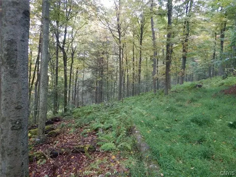 Flanders Hill, Windsor, NY 13865 photo 42