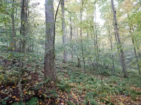 Flanders Hill, Windsor, NY 13865 photo 28