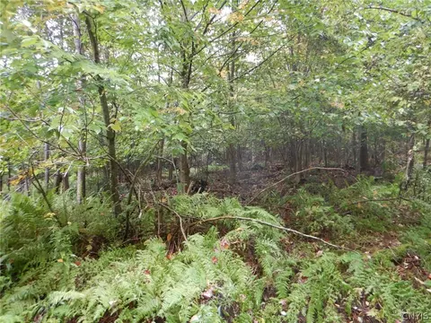 Flanders Hill, Windsor, NY 13865 photo 25