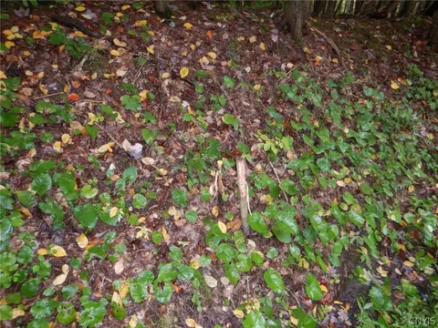 Flanders Hill, Windsor, NY 13865 photo 14