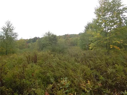 Flanders Hill, Windsor, NY 13865 photo 8