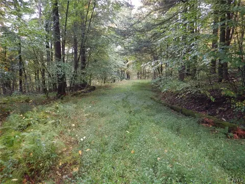 Flanders Hill, Windsor, NY 13865 photo 3