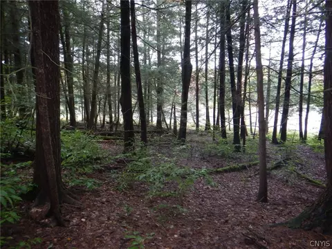 Flanders Hill, Windsor, NY 13865 photo 12