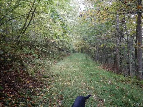 Flanders Hill, Windsor, NY 13865 photo 24