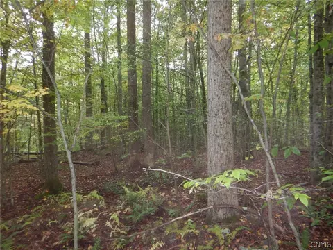 Flanders Hill, Windsor, NY 13865 photo 39