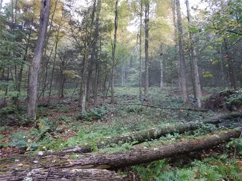 Flanders Hill, Windsor, NY 13865 photo 23