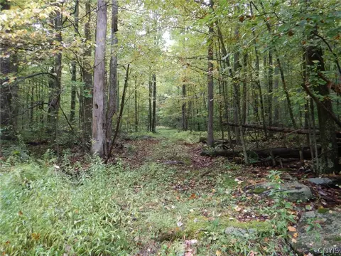 Flanders Hill, Windsor, NY 13865 photo 31