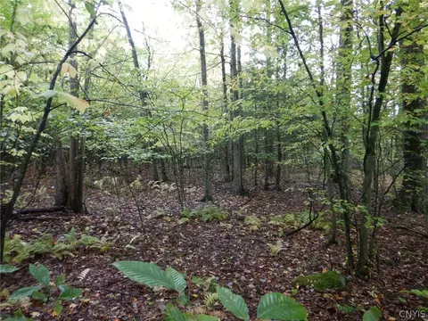 Flanders Hill, Windsor, NY 13865 photo 32