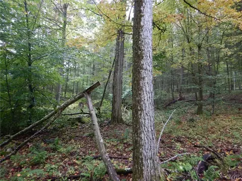 Flanders Hill, Windsor, NY 13865 photo 34