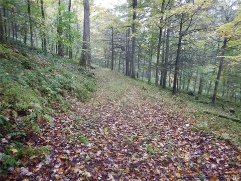Flanders Hill, Windsor, NY 13865 photo 29