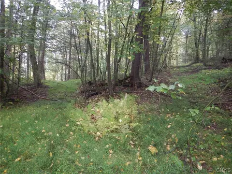 Flanders Hill, Windsor, NY 13865 photo 21