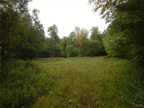 Flanders Hill, Windsor, NY 13865 photo 18
