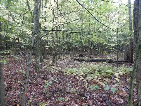 Flanders Hill, Windsor, NY 13865 photo 46