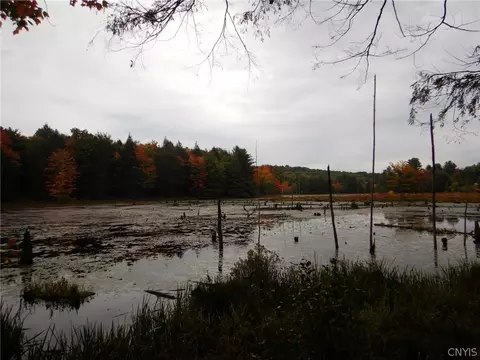 Flanders Hill, Windsor, NY 13865 photo 2