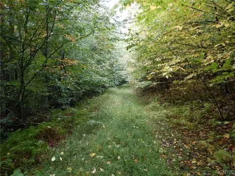 Flanders Hill, Windsor, NY 13865 photo 38
