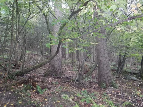 Flanders Hill, Windsor, NY 13865 photo 41